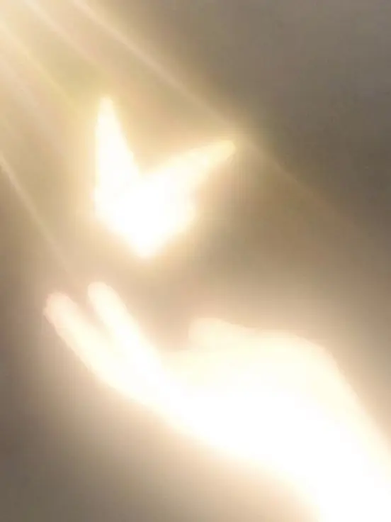 55555five의 당신이 신(God)이라면?
