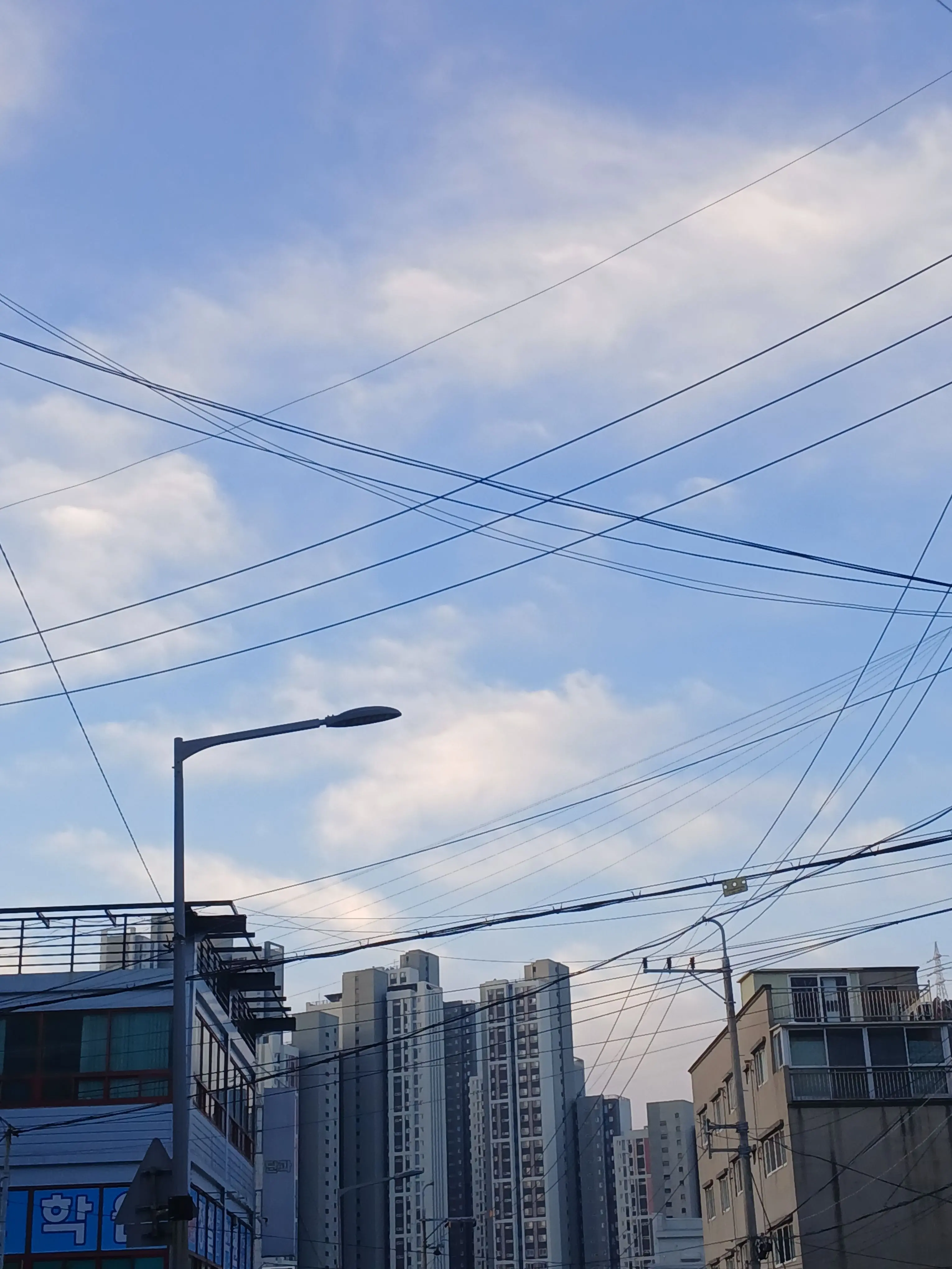 Rein_babo의 팀 나빠의 위기?