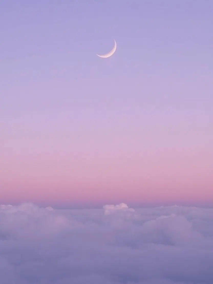 l0uren의 捨てられたの怖かった。