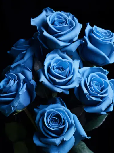 KAIRA8124의 あの頃の俺等．