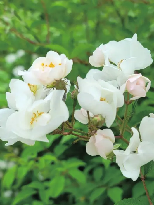 Nice_me의 그만 들켜버렸다.