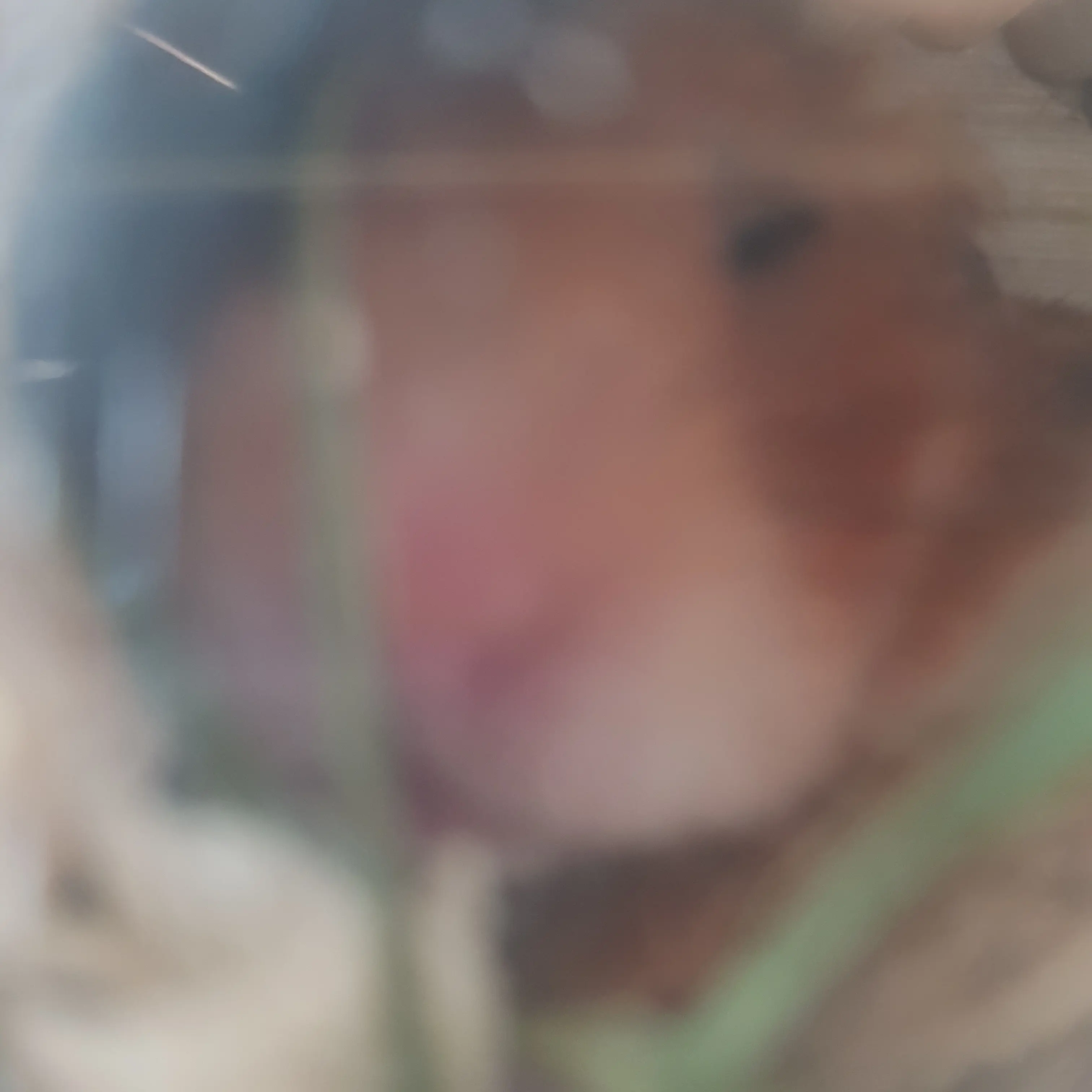 WornFilm5119의 블러드 라인인데, 과거로 와버렸다?!