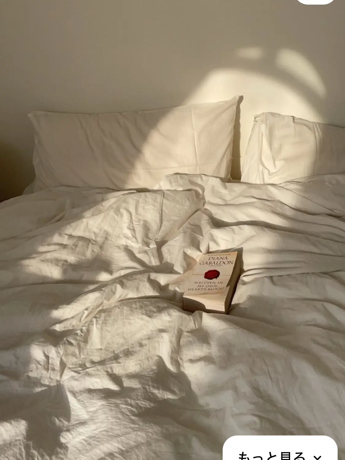 knt_hbr_zeffiro의 飲み会で酔い潰れる