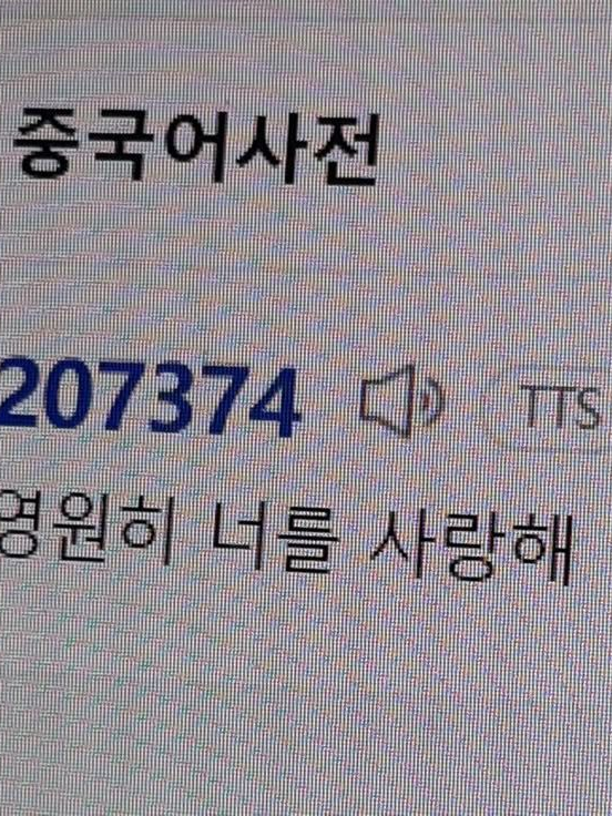 조선시대에서 요괴님들 꼬시기 대표 이미지