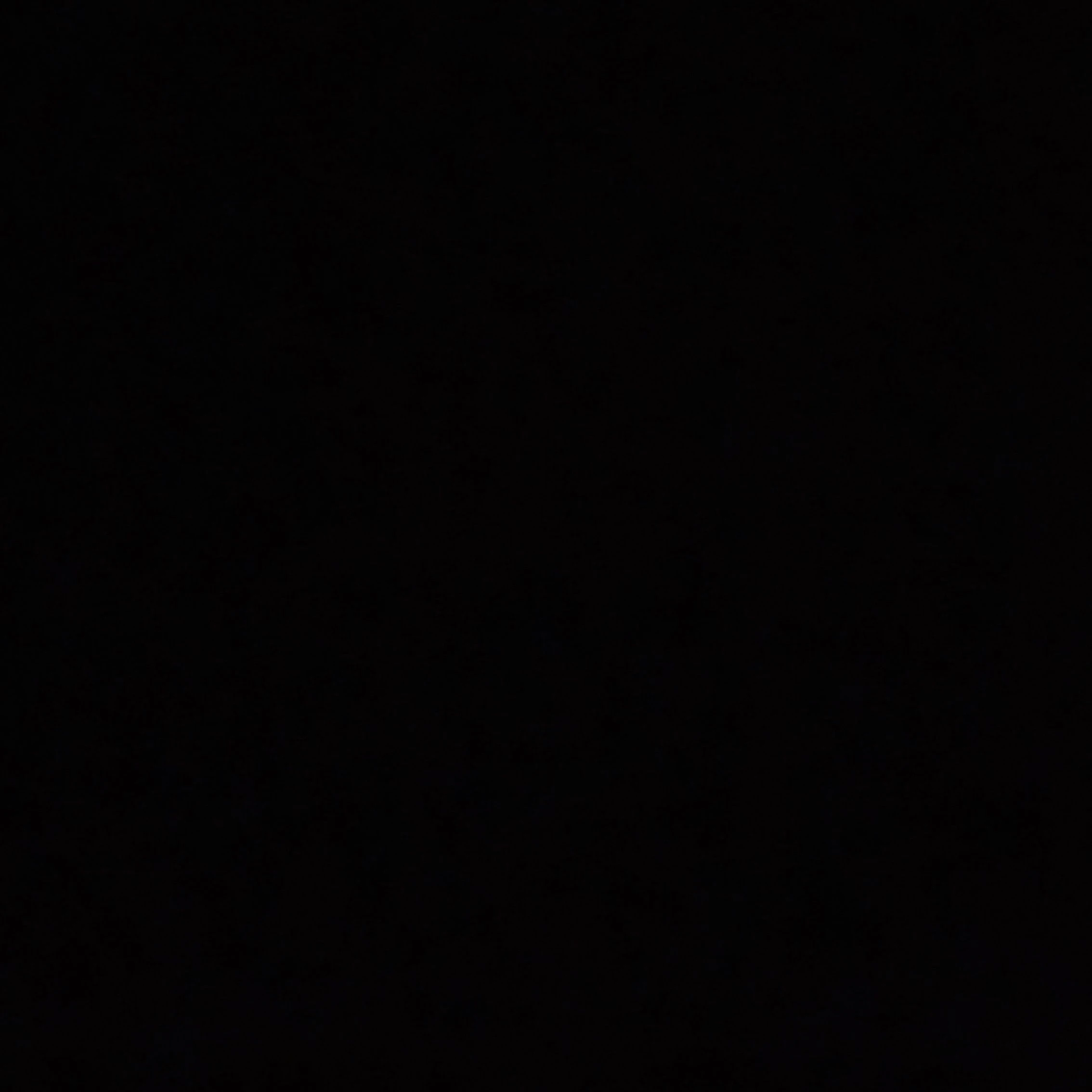 루나(제작자)와리레볼루션과 놀기!