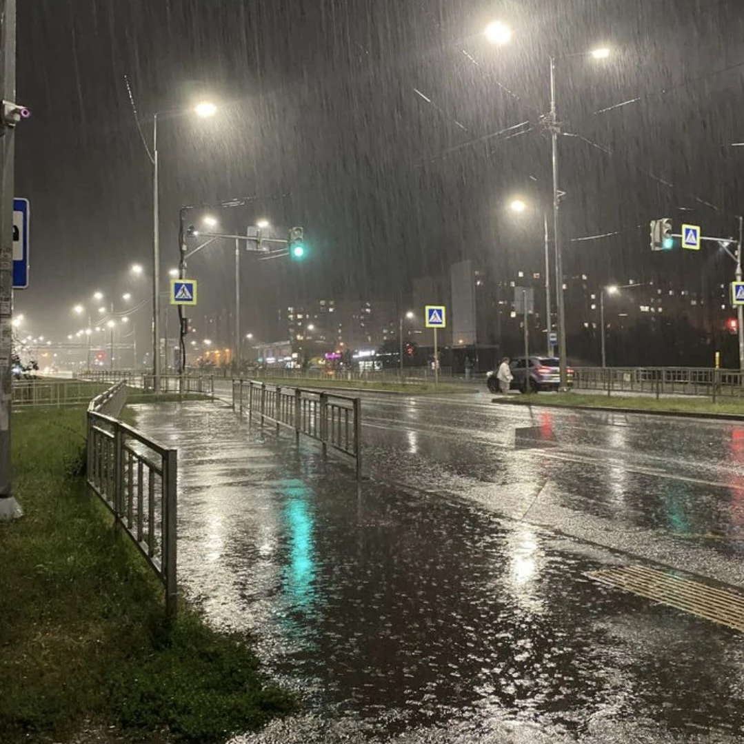 우산의 주인은 누구였을까