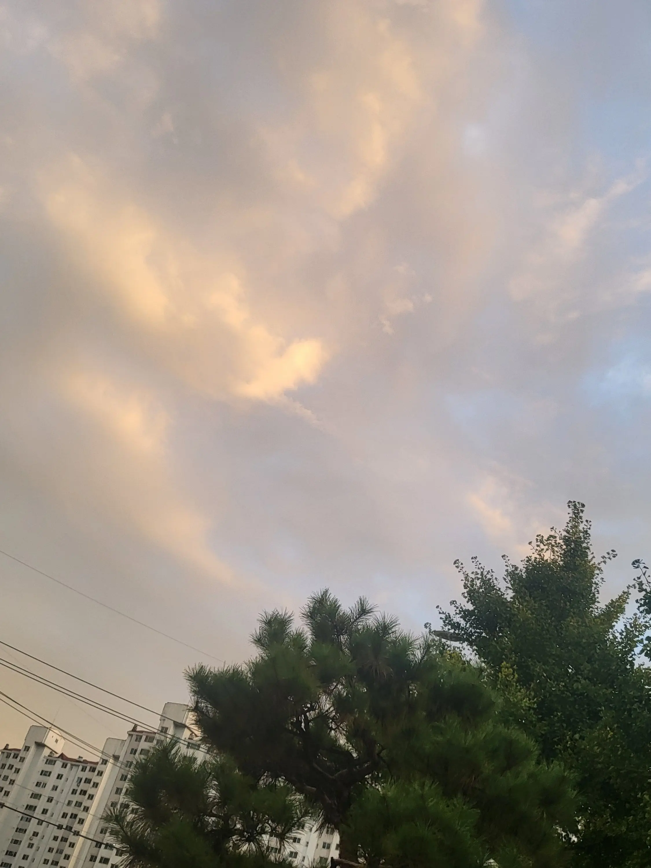 love_istj의 “ 잘 지냈냐 ~ ? 아님 말고ㅎ “