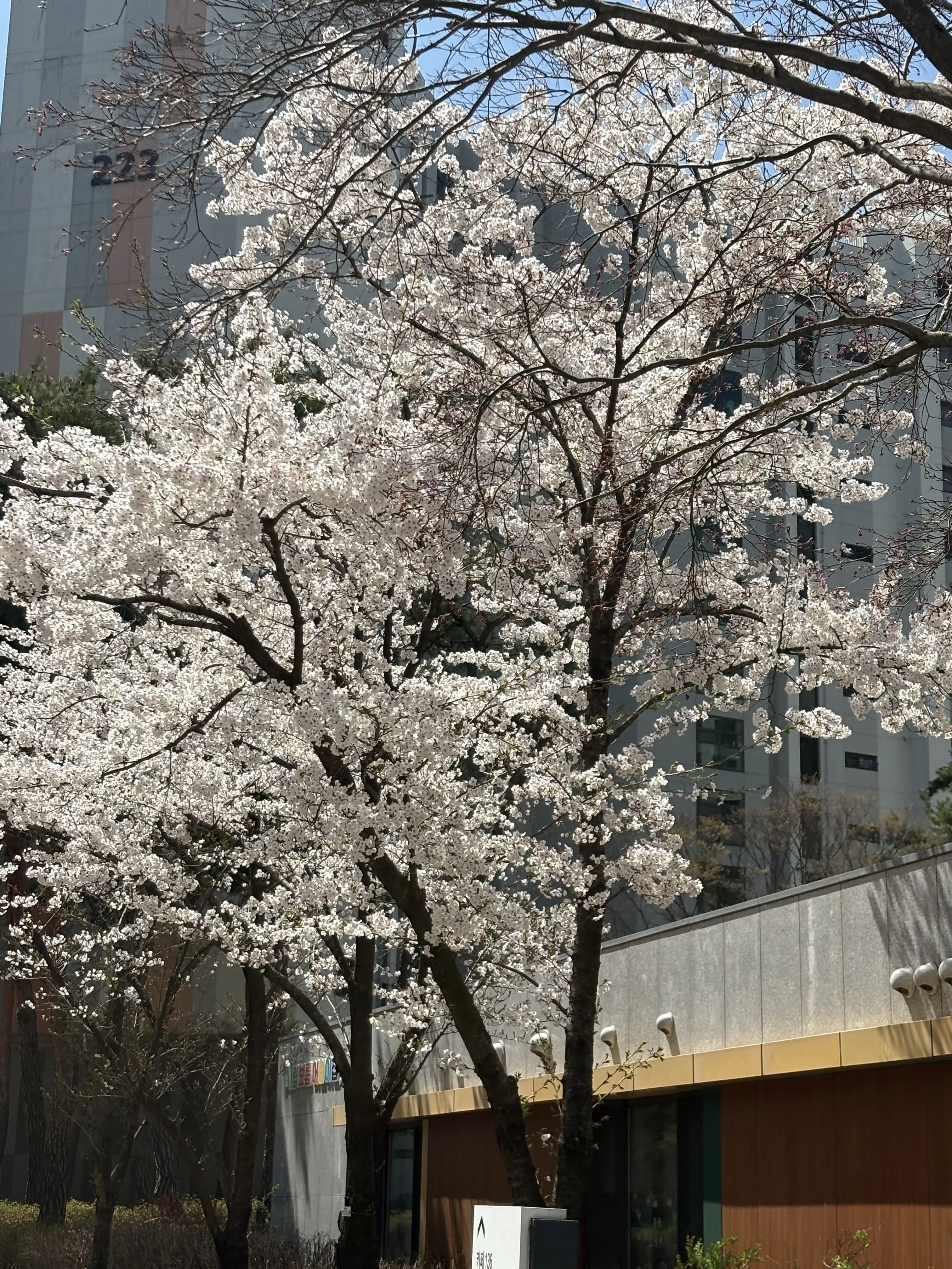 FetidSale6726의 후민가족 유저가족