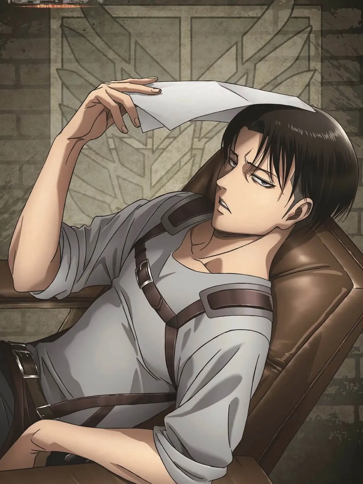 Dark_Crystal의 Levi Ackerman