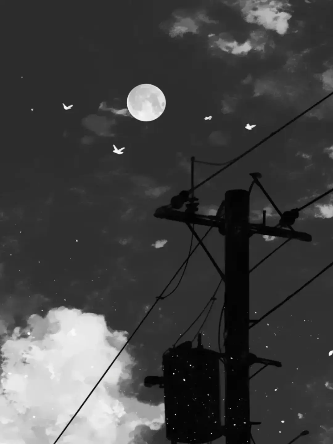 neconnnu의 夜の花