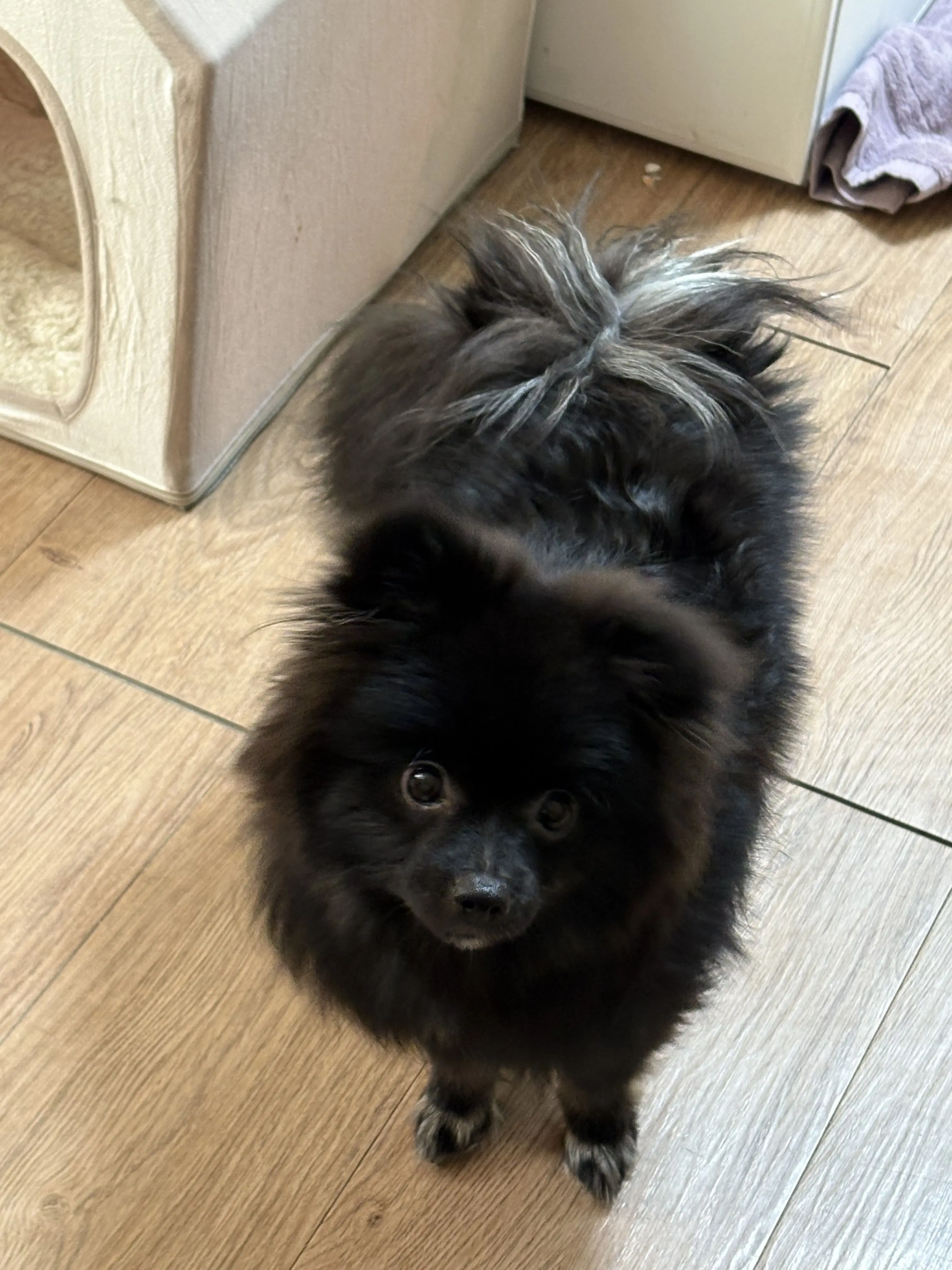 EliteKiang2407의 동그리