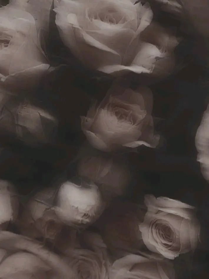a__yqn의 学校一モテる先輩