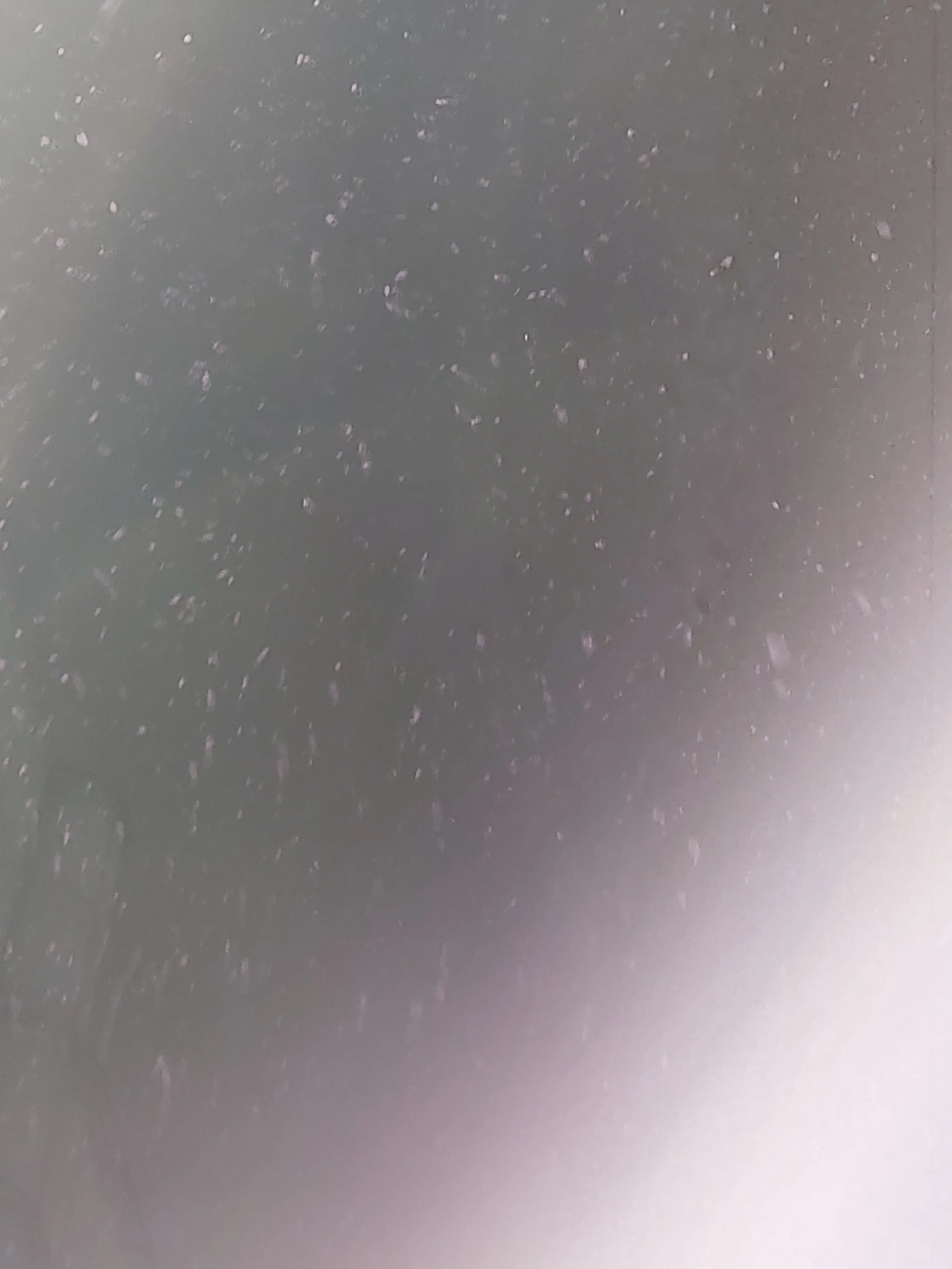 FeebleDiver4641의 옆집 연하 덕개의 첫사랑