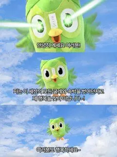 TrueAnise5237의 듀오링고