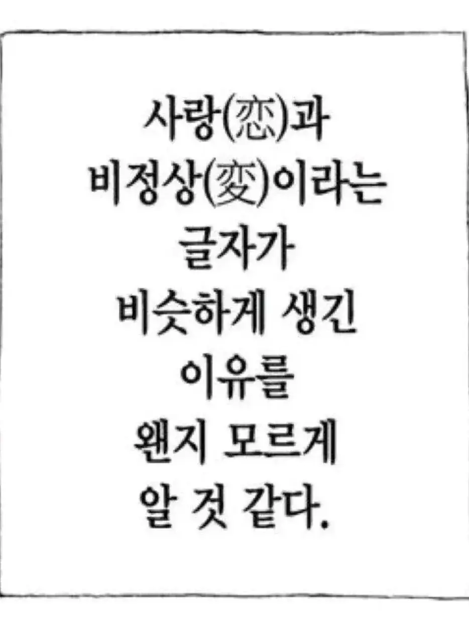 BruteWood8754의 고앵이 두마리