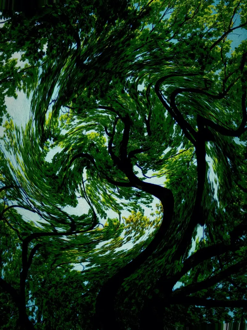 JerkyBee8710의 김의태