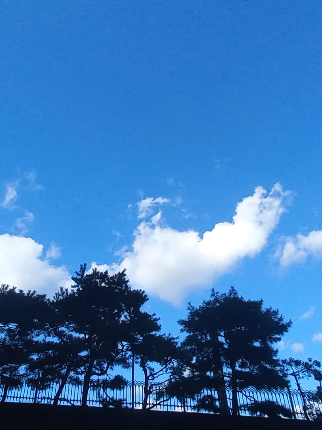 히치콕 대표 이미지