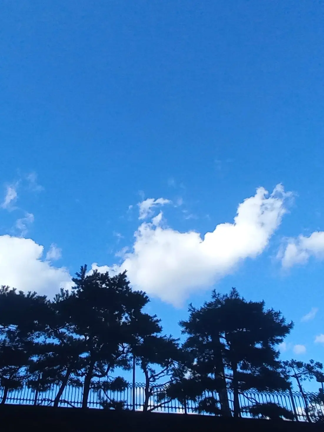 CalmLemur4958의 히치콕