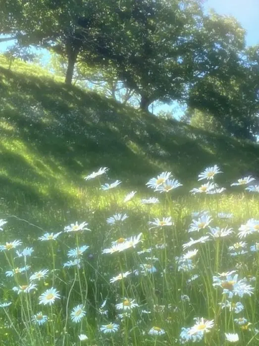 MP_EP_LOVEwwww의 겨울신화 수현