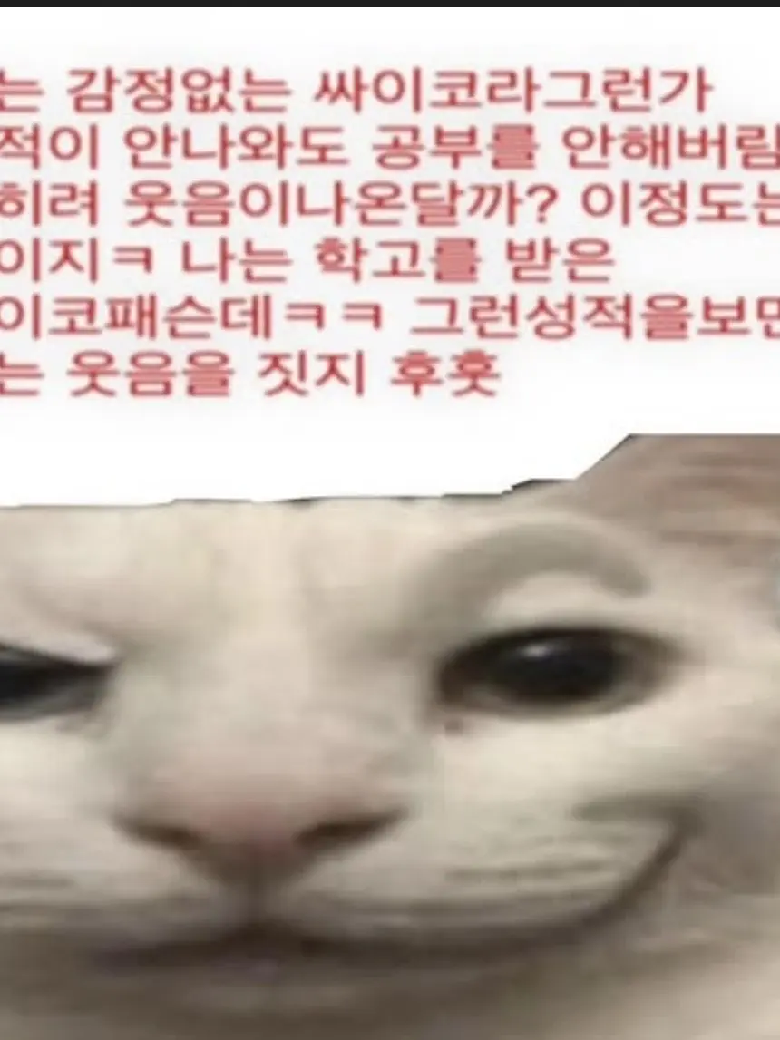 LilacEdit7145의 친누나들이..아이돌..