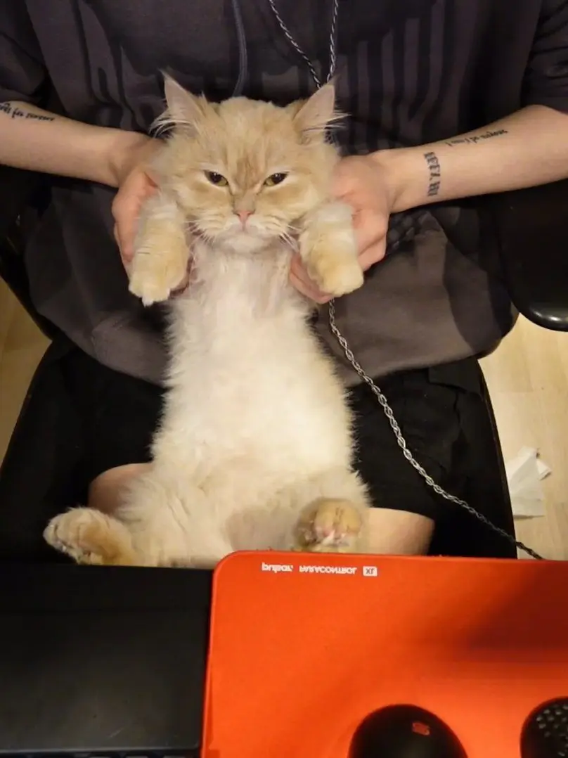 Deon_penggu0717의 감제이