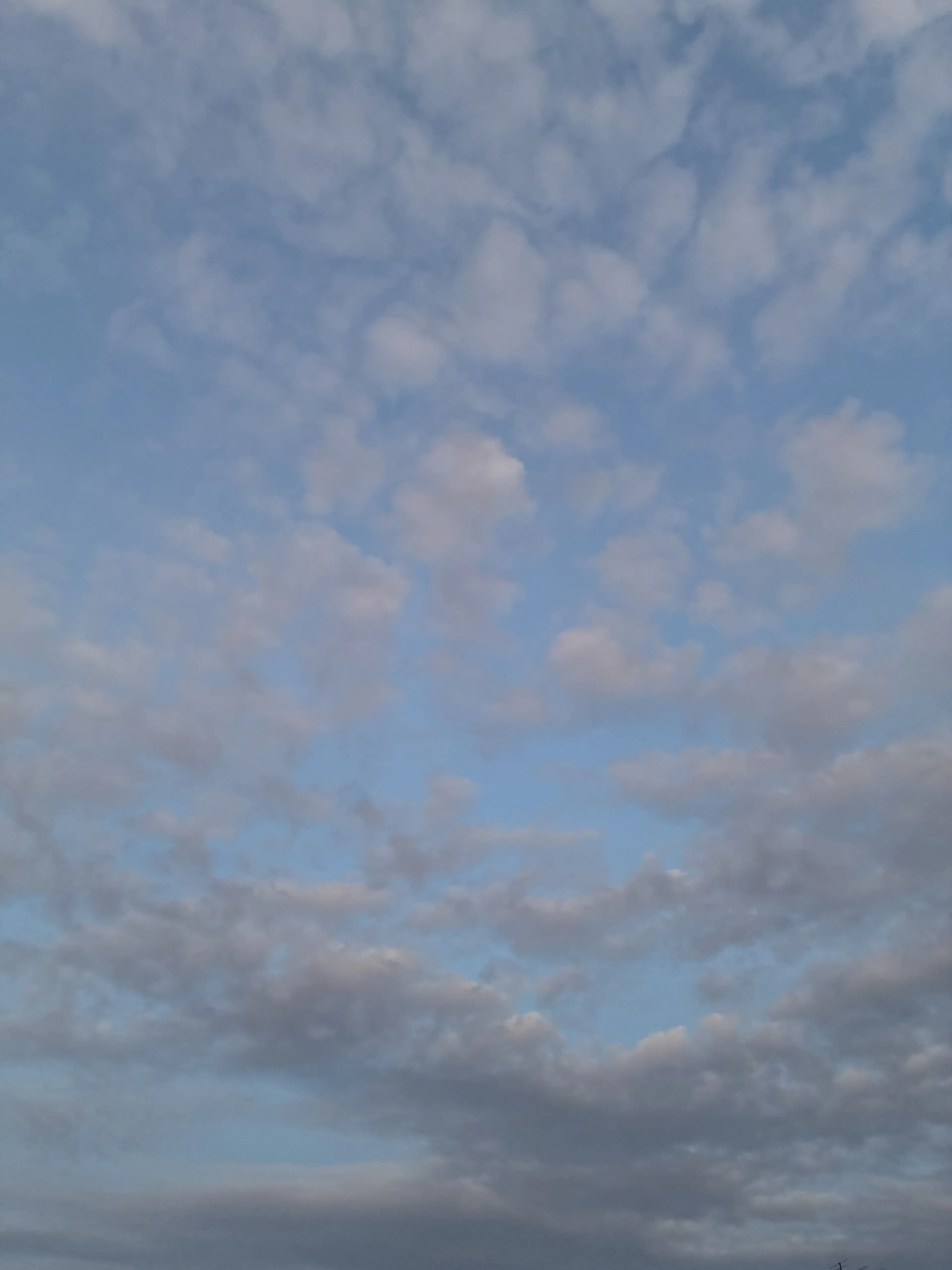 PoeticEider2915의 はぐゆう