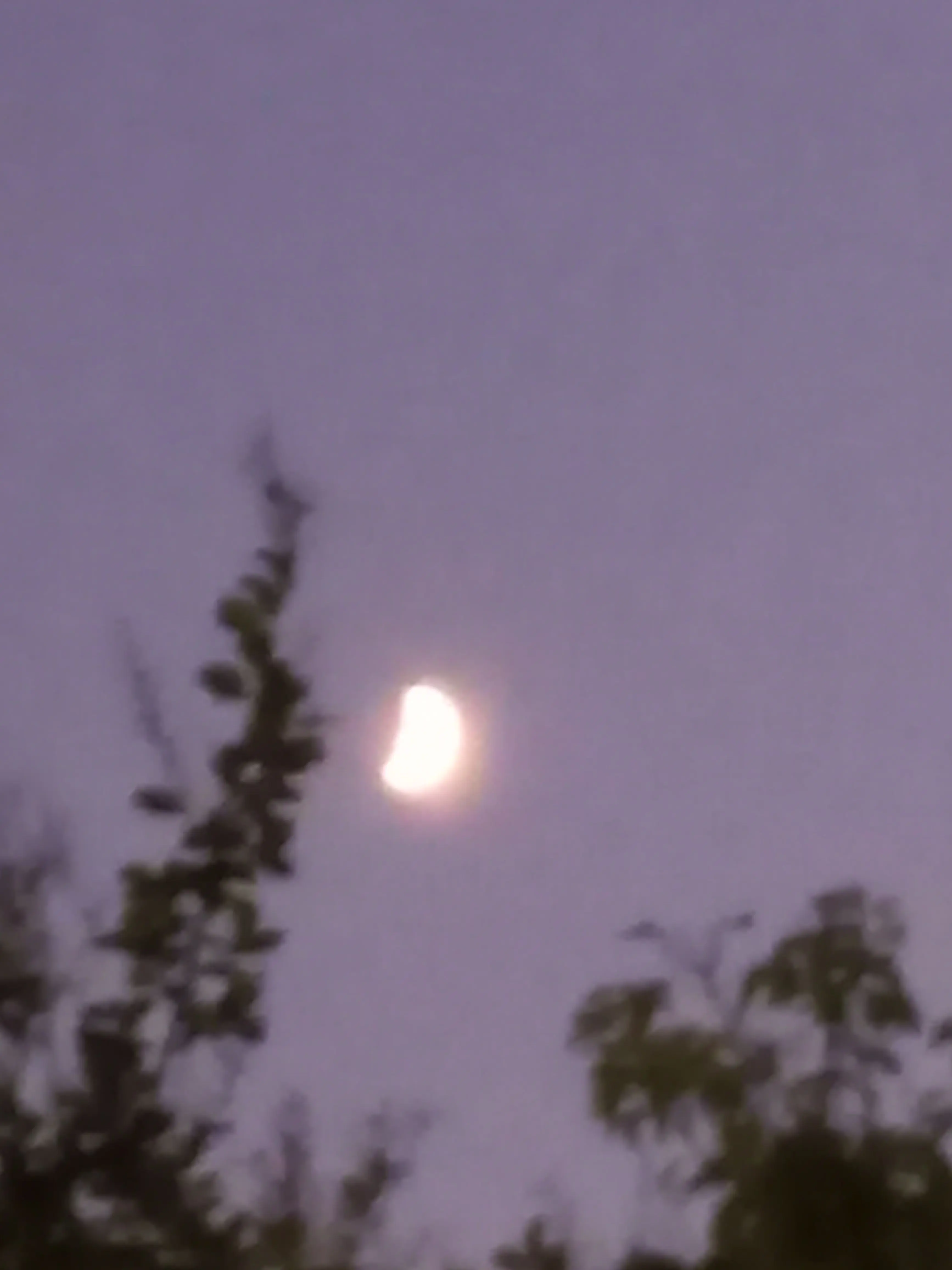 YunHaLee의 고고프렌즈&팀나빠&집사tv&잠뜰tv