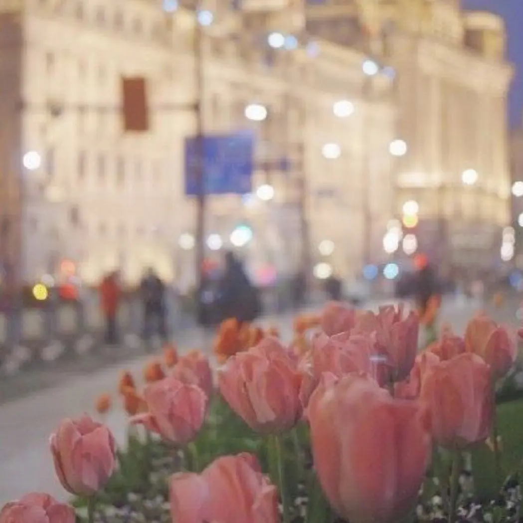 nitsukuTBTB의 🌶、💰、🌱