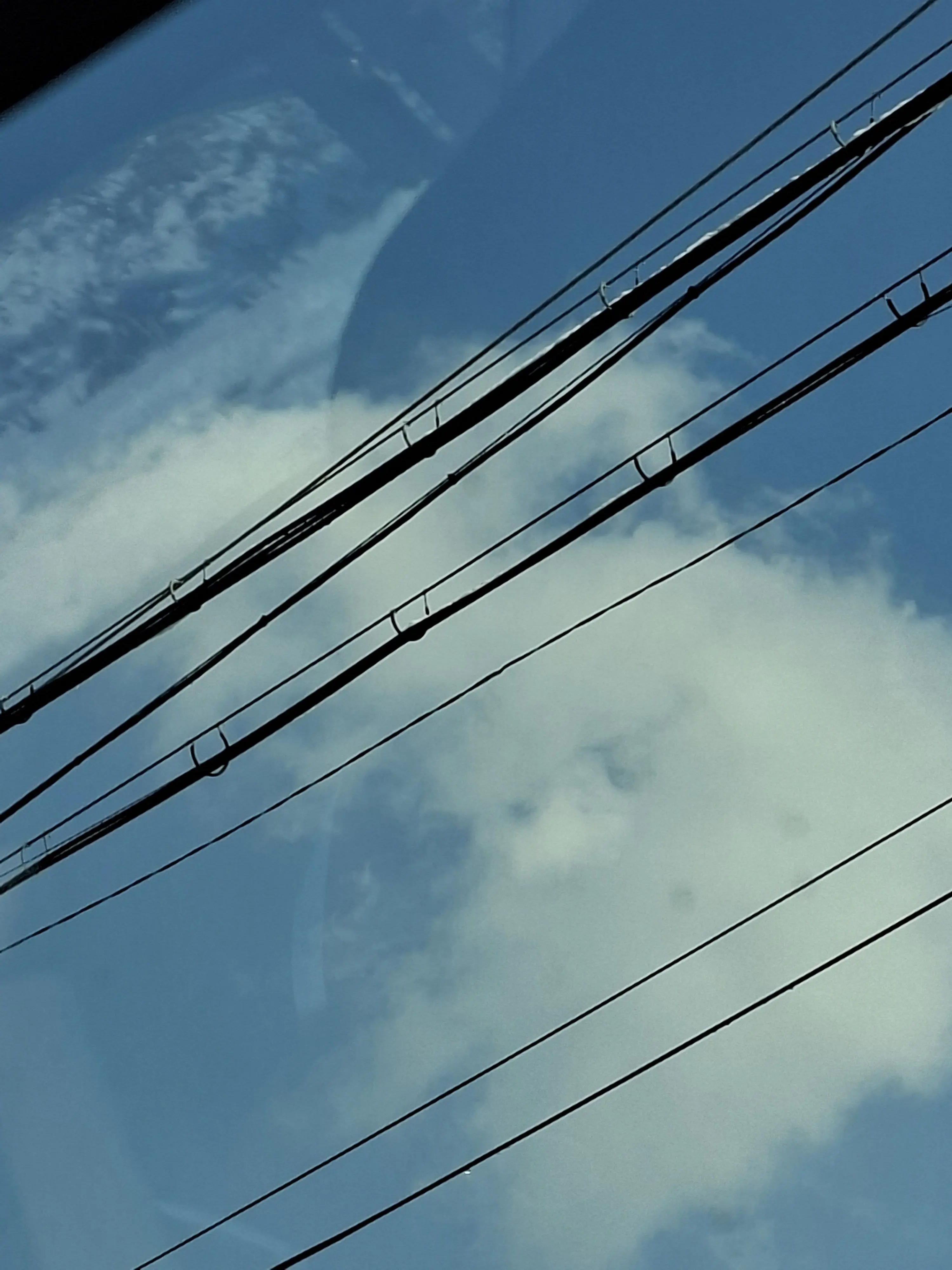 BraveSheaf6634의 {{ 배신 }}