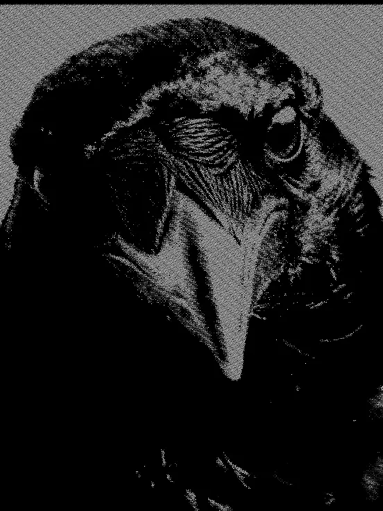 backdoraji의 ­사랑한다고 말해줄래?