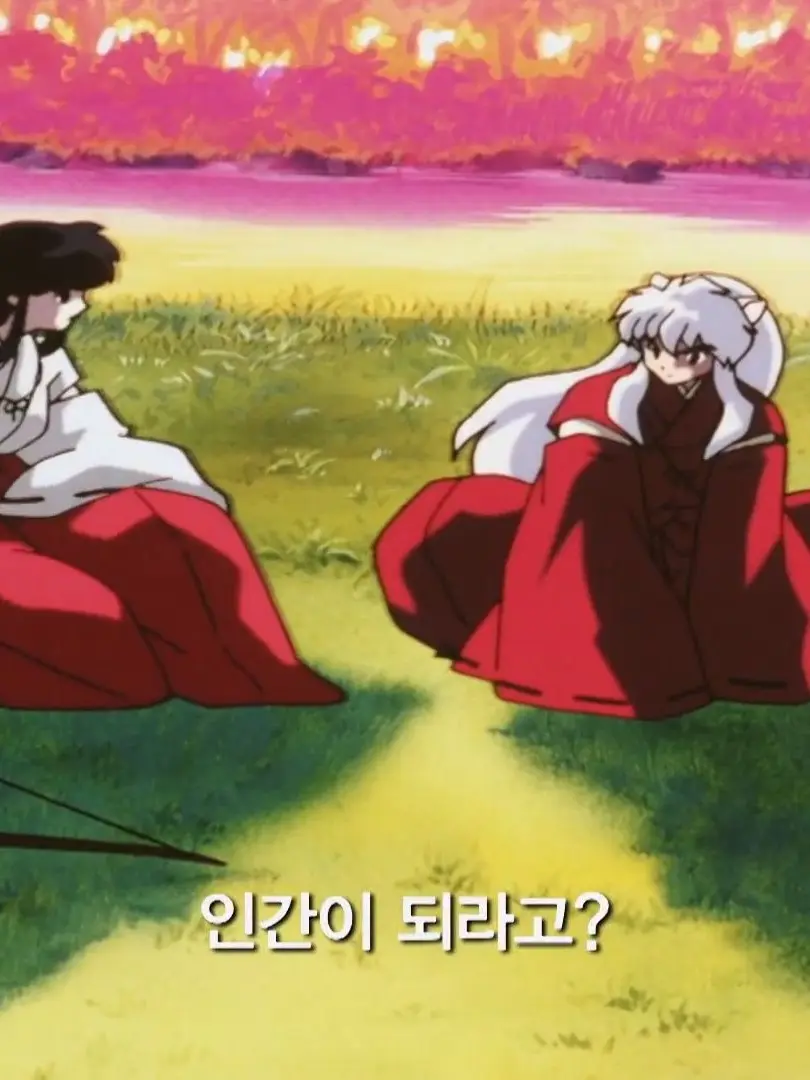 PotentEye8403의 이누야샤,금강