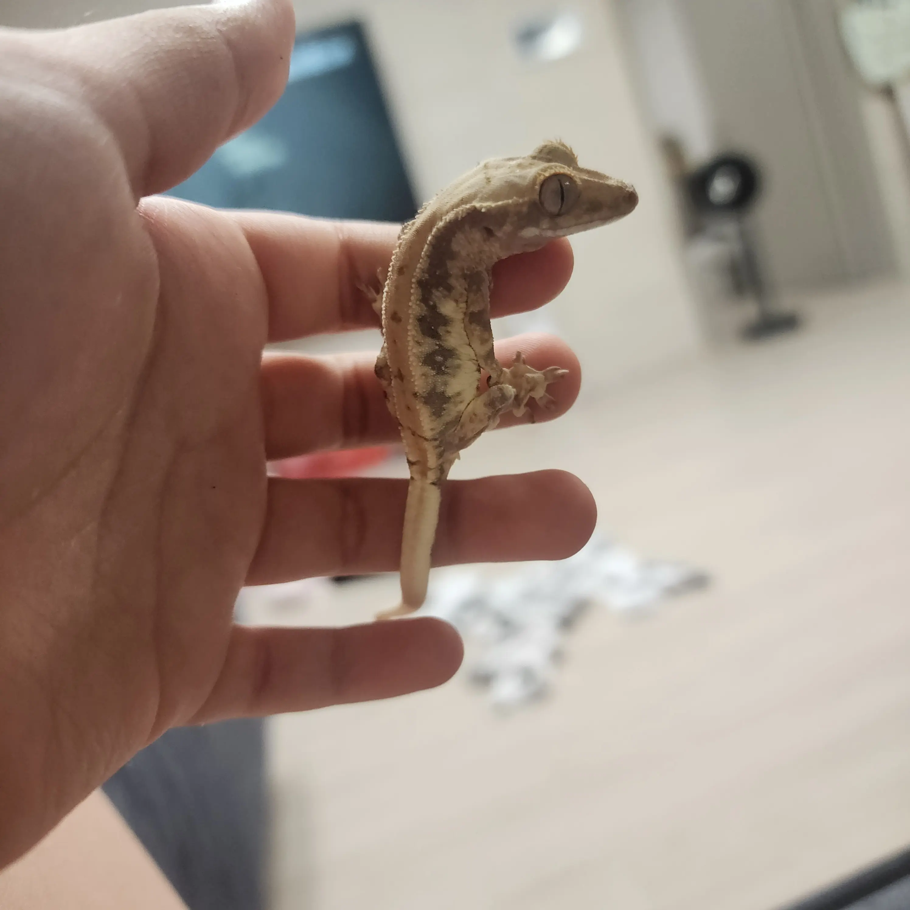 BleakFire6690의 김욱