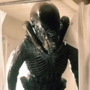 AmusedNiece7359의 ALIEN Revelation