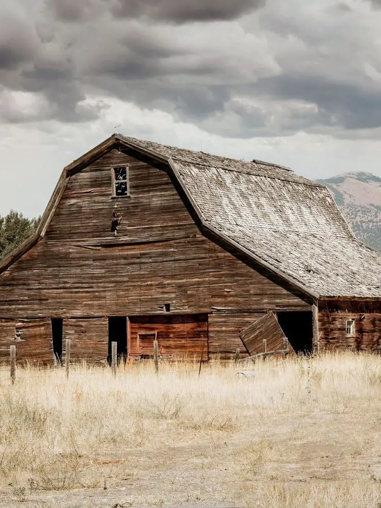 BusyLemon0619의 Willow Crossing Ranch