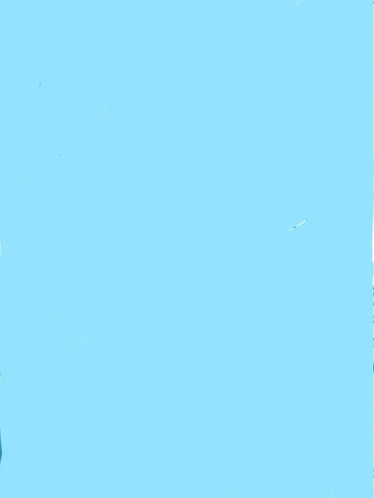OreoSnow10의 裏切り者