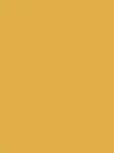 jikokenjiyoku_787의 ⭐️🈵🐦‍🔥