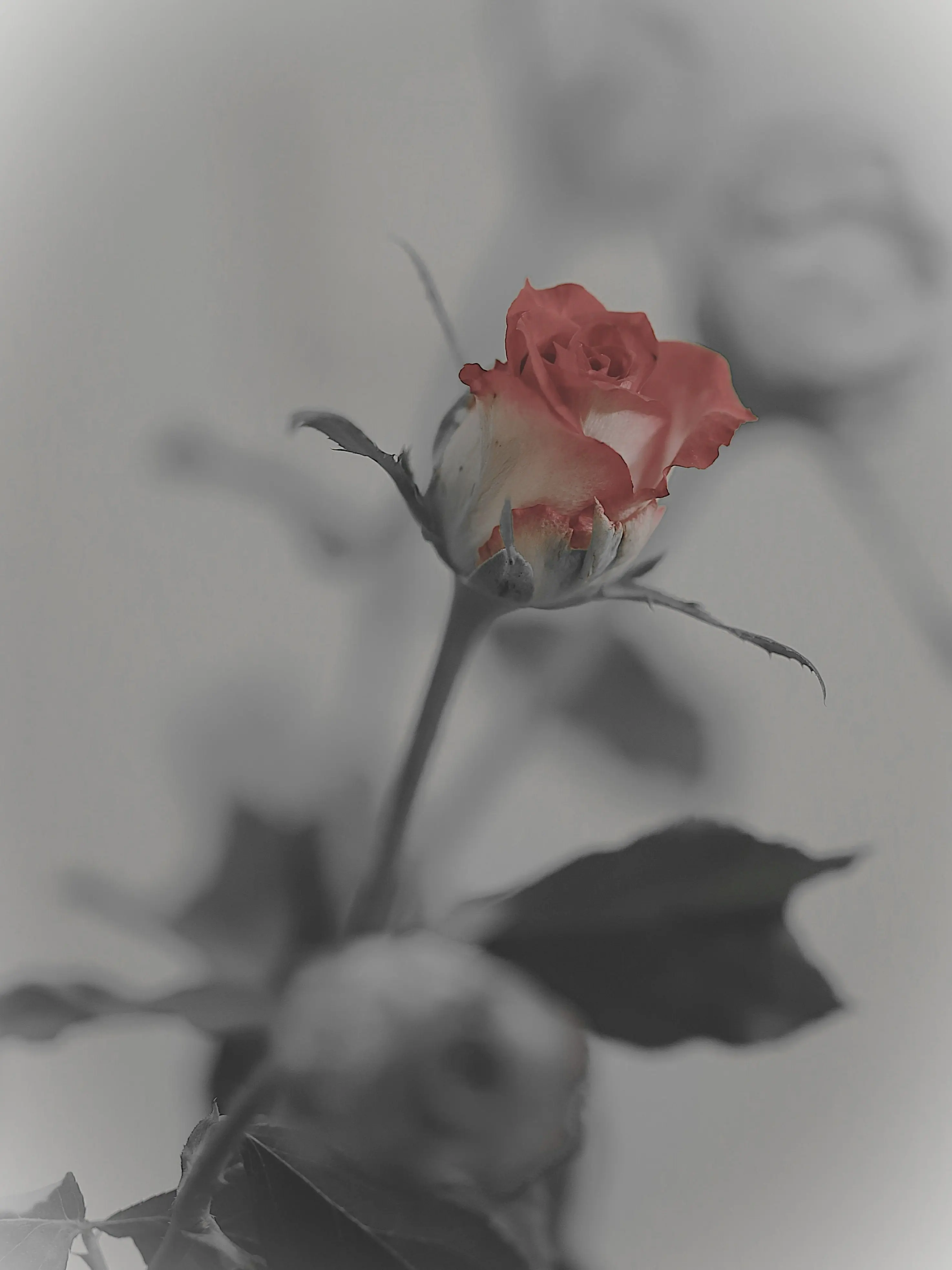 jk7의 🪶 그대를 위해 범람하는 피