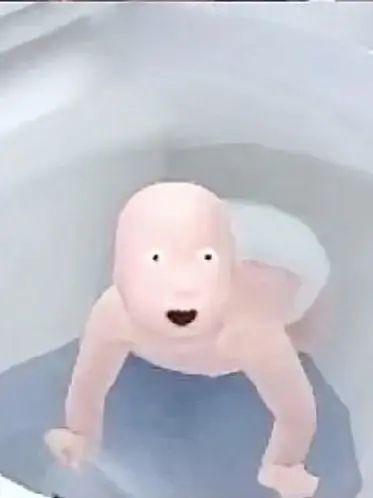 Shiss의 잘나가는 무리에 끼려는 돼지전학생