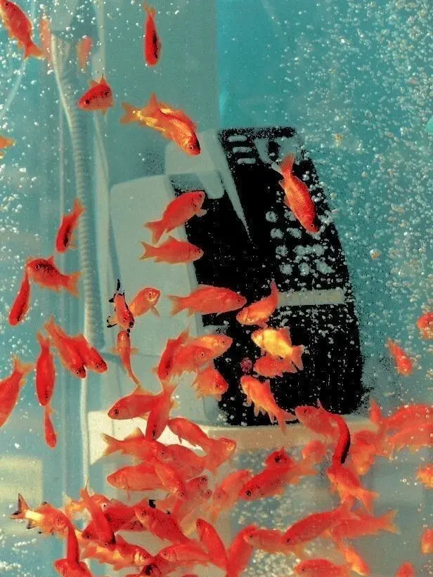 GlassBilby9273의 선배, 담배 좀 그만 피워요.