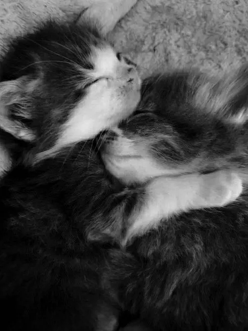 R._.23의 かわいい後輩