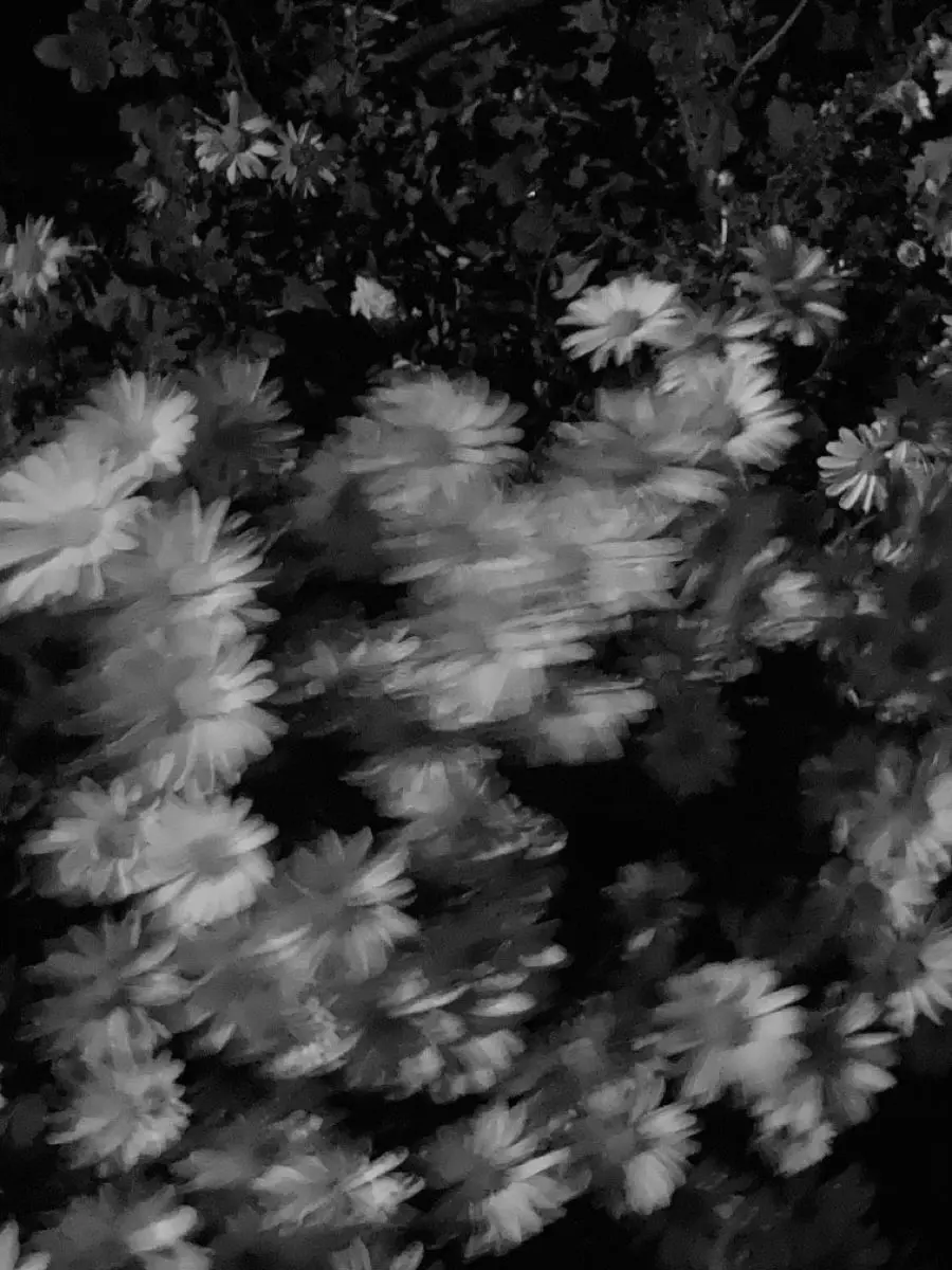 CFtt616의 허씨집안