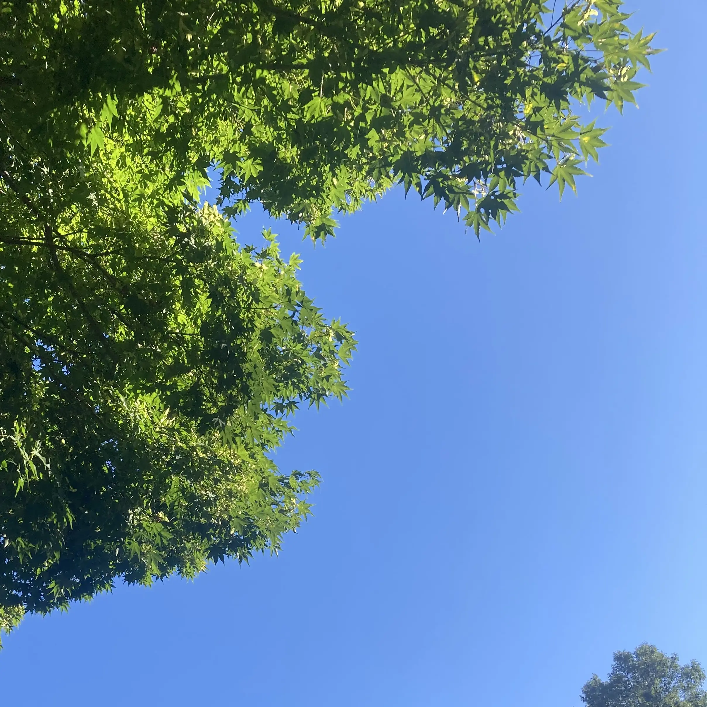 I_U.star_NO.1의 야구부 2p