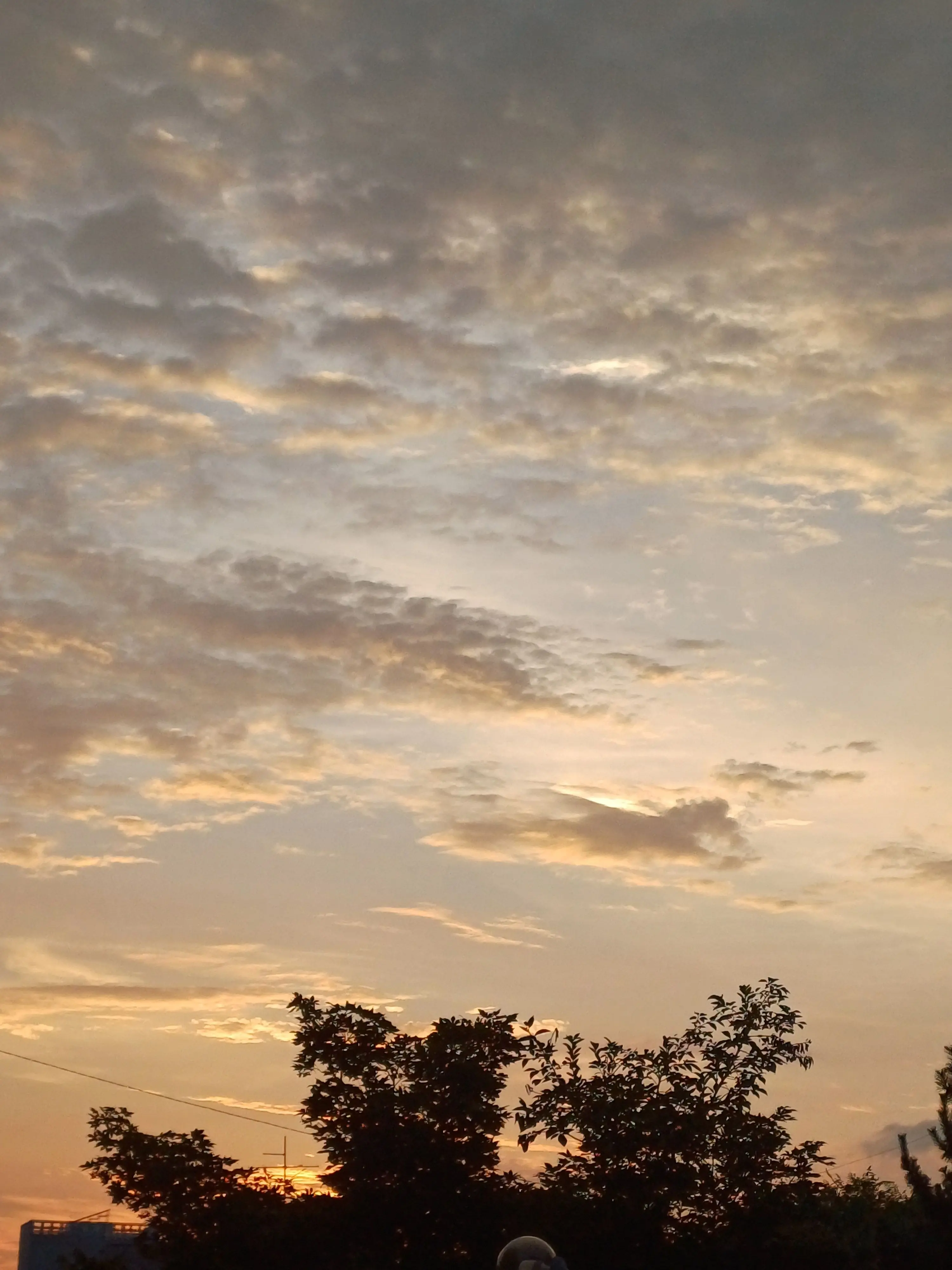 abokado1511의 나의 햇살, 나의 구원자.