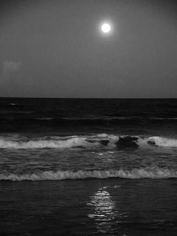 FluidKnob1417의 도재정 인어 왕자