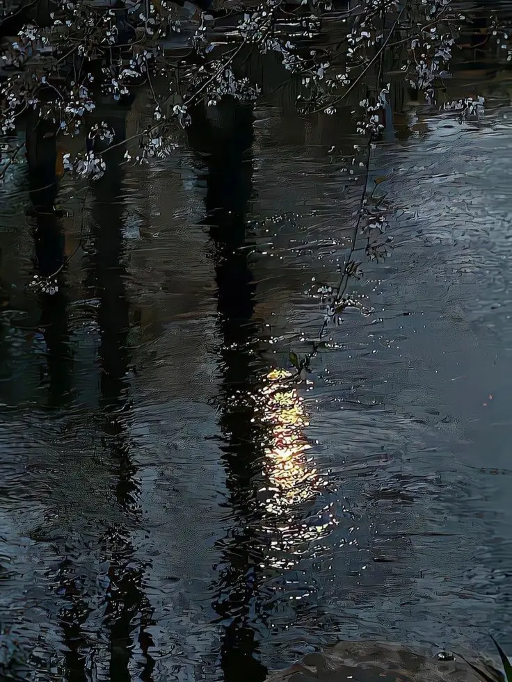 520.의 윗집 남자.