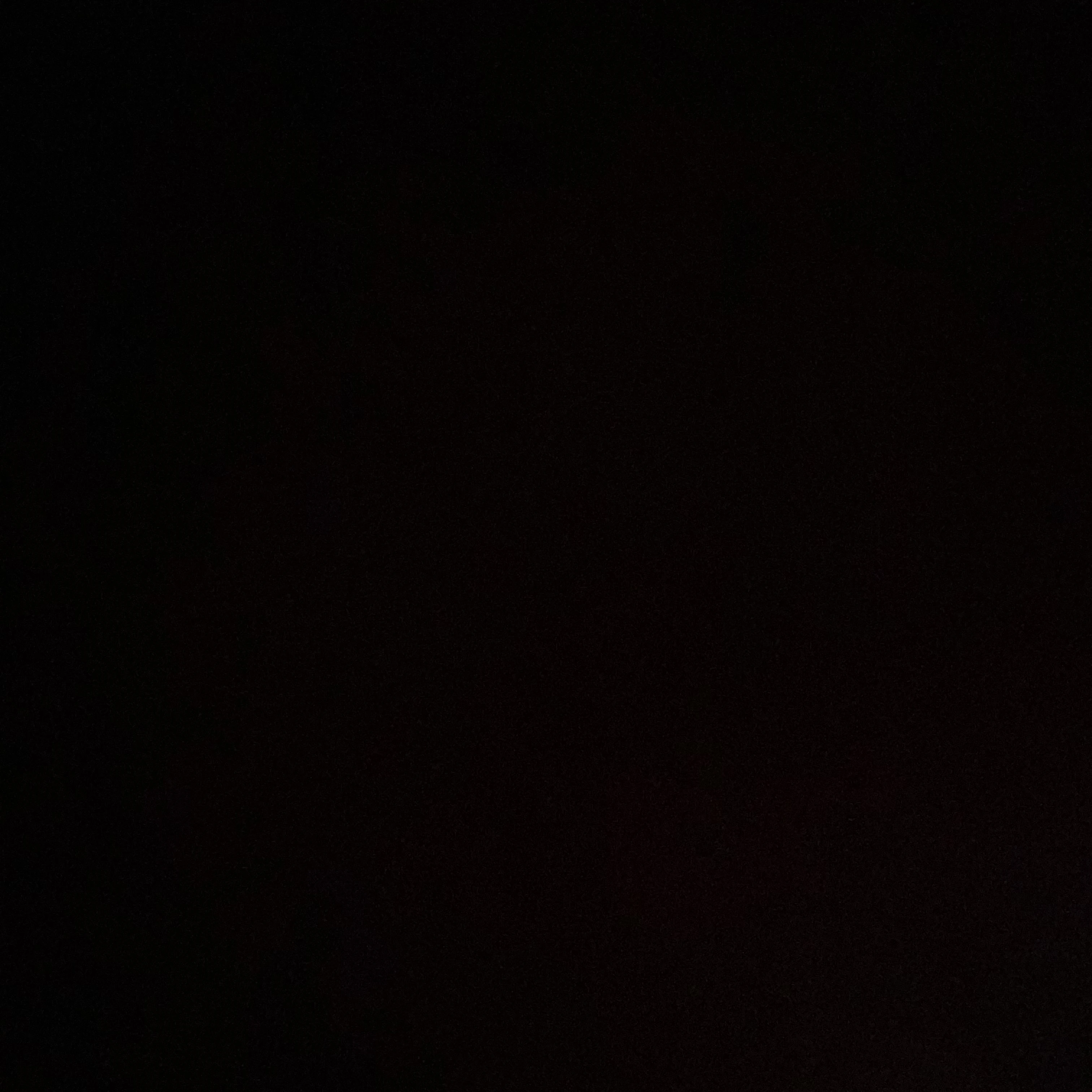 의리는 없는 새끼 ’들’