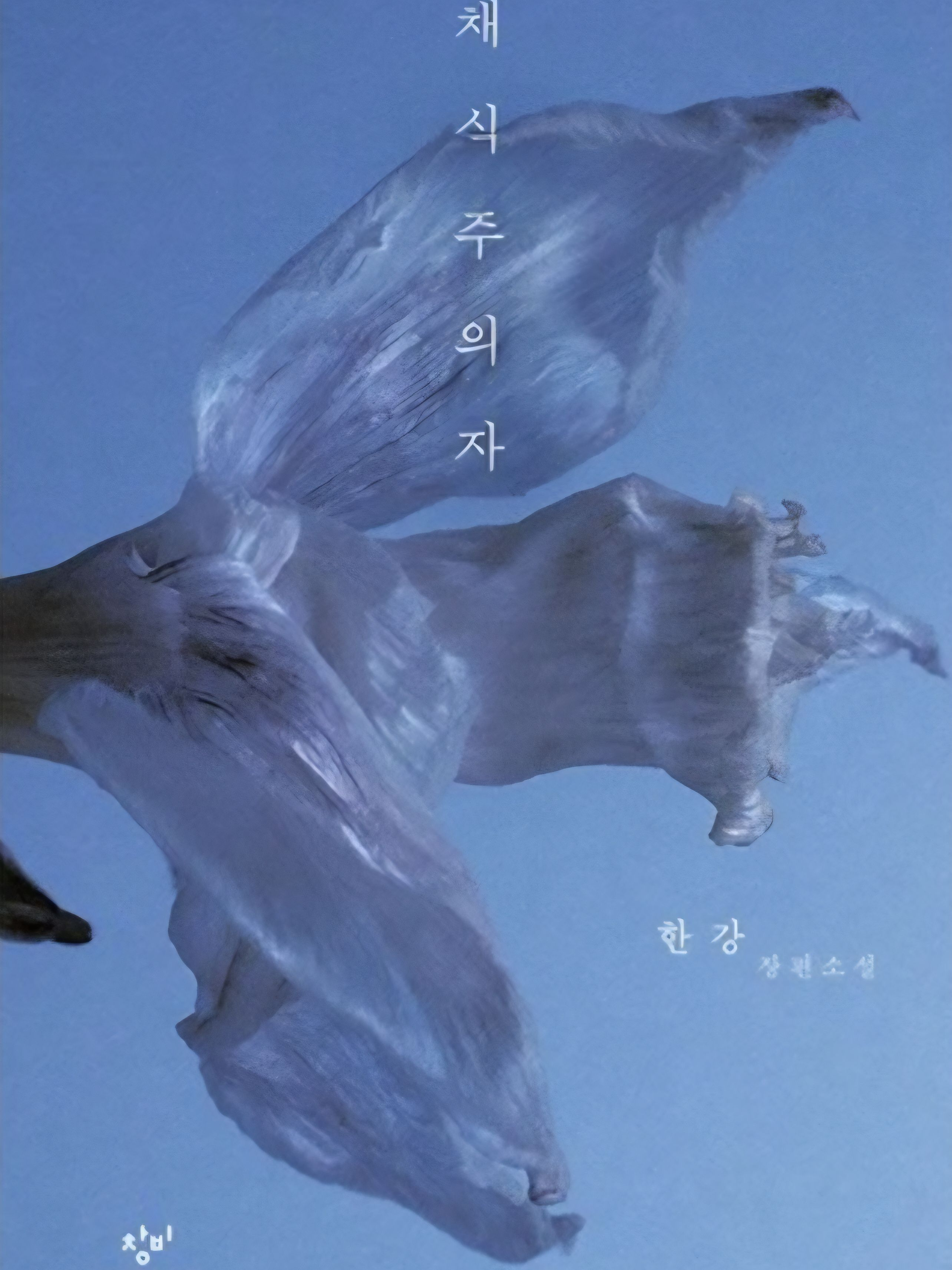 <채식주의자> 대표 이미지