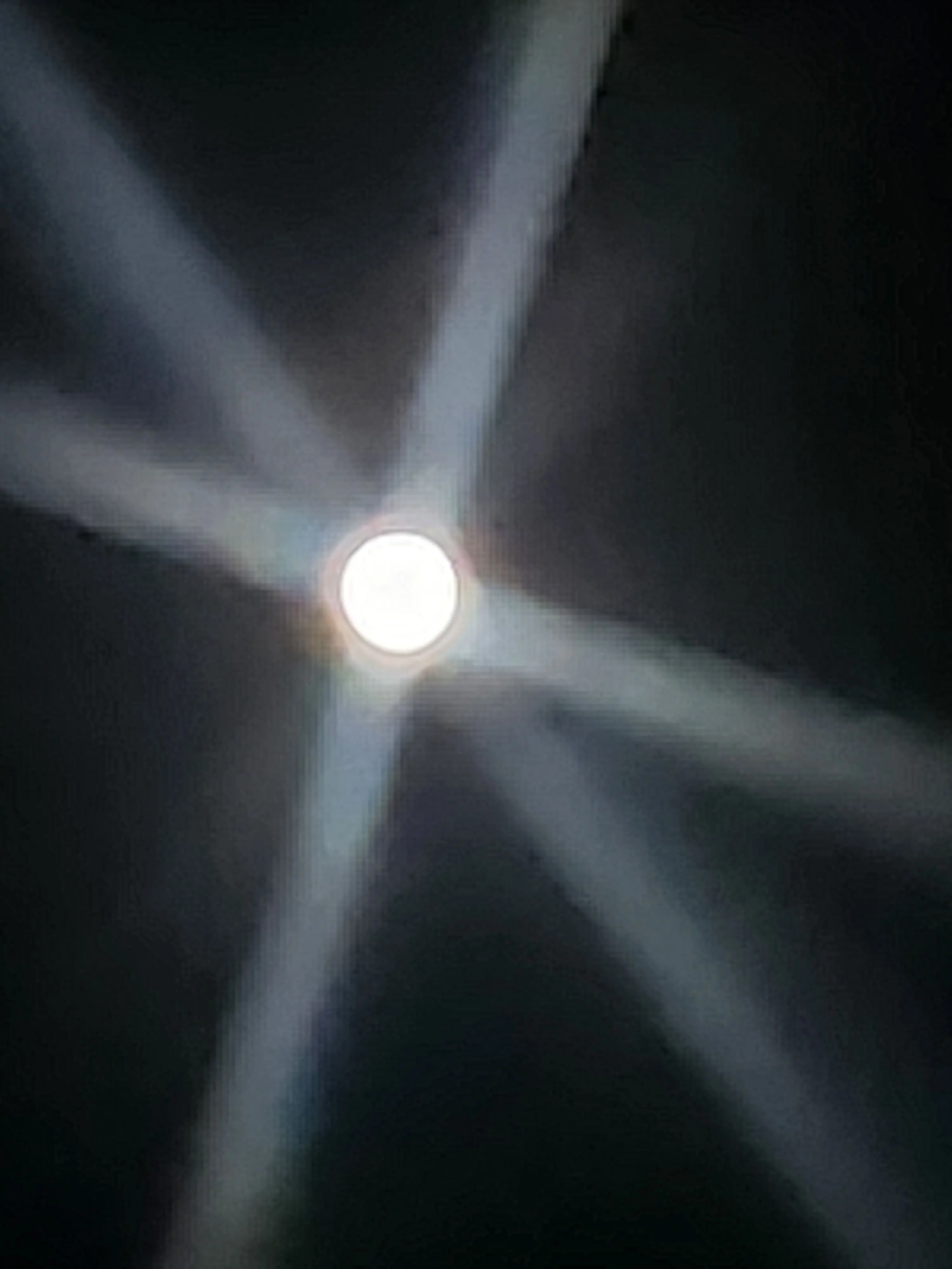 BrashSlice5265의 뜰빛탐정