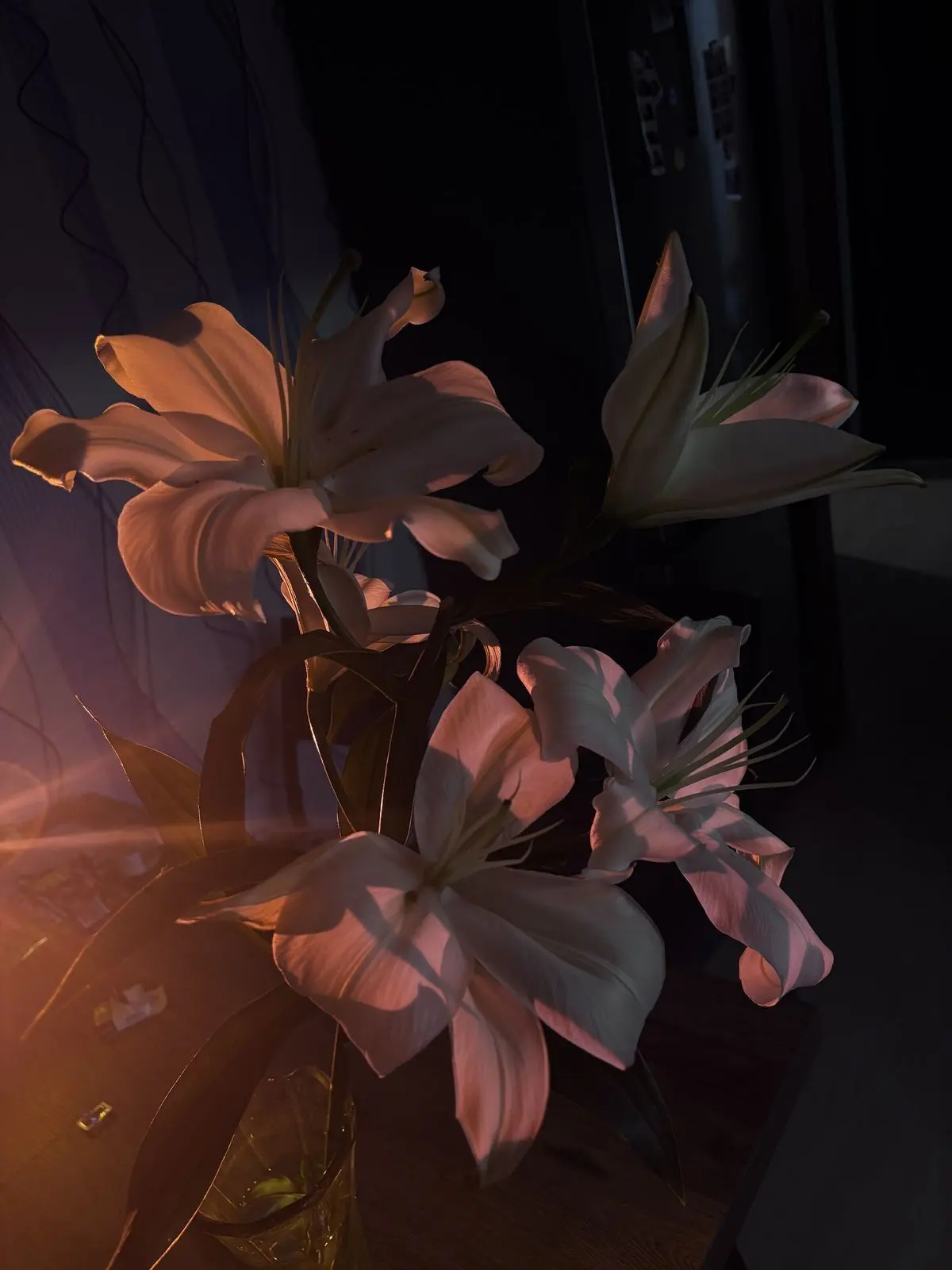 Drama_0910의 우치나가 애리