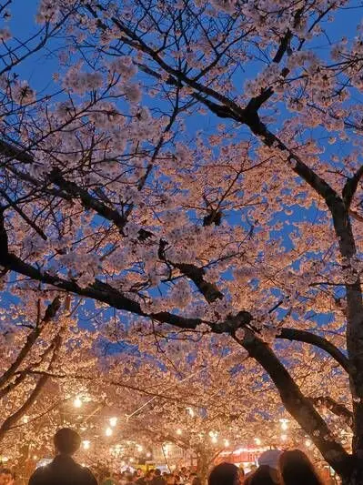 NekoShake0211의 ペリリュー学パロ